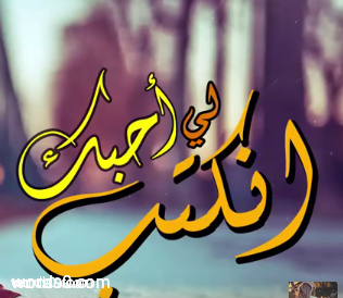 كلمات شيلة أنكتب لي أحبك غصب وأتحملك | شيلات جديدة