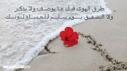 كلمات شيلة طرق الهوى فيك مايوصف | شيلات