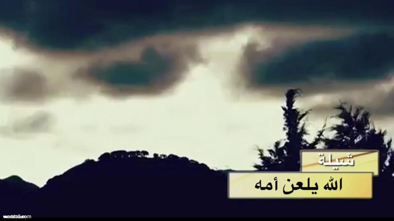 كلمات شيلة الله يلعن أمه | الشيلات