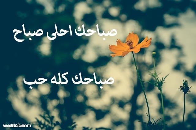 صباح الحب