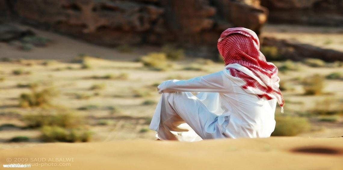 كلمات شيلة ربع السوالف | الشيلات