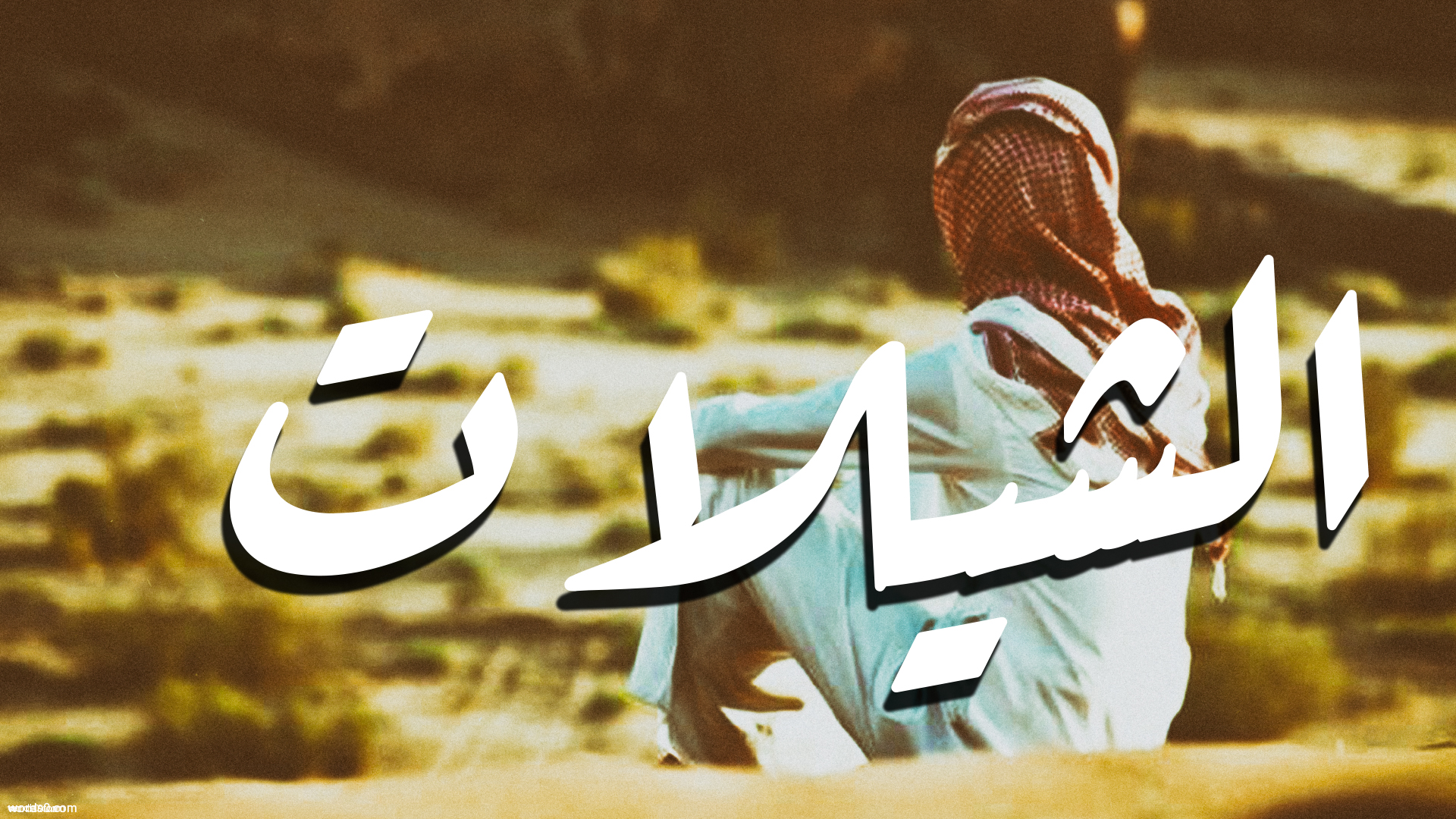 كلمات شيلة عشرة على عشرة | شيلات