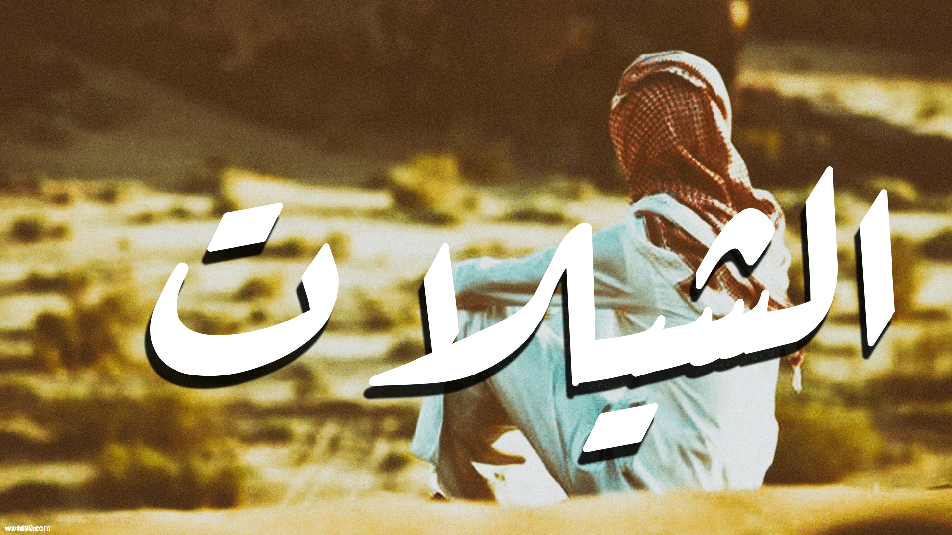 كلمات شيلة وصف الوصيف | الشيلات