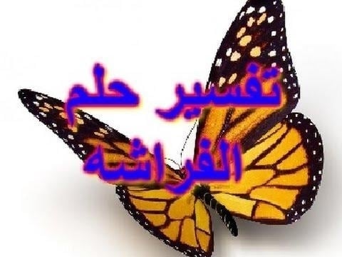 تفسير رؤية الفراشات فى المنام بالتفصيل