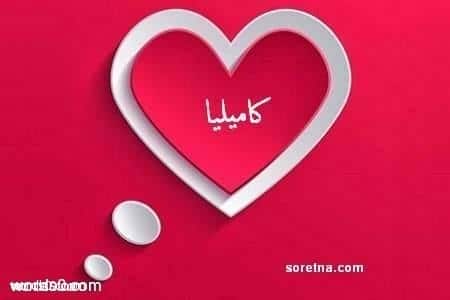 صفات ومعنى اسم كاميليا Kamellia