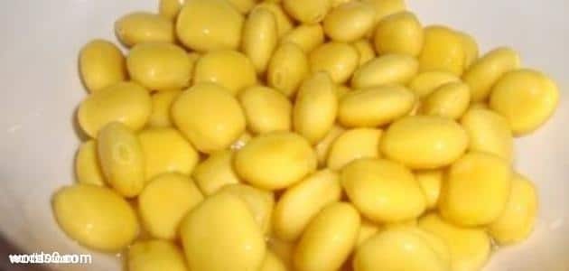 فوائد الترمس العلاجية