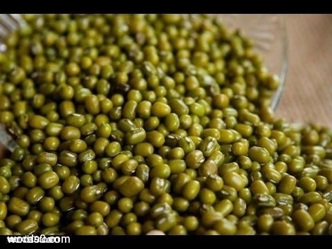 فوائد نبتة الماش
