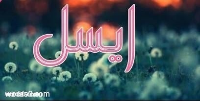 معنى اسم أيسل Aisel وشخصيتها