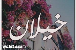 معنى اسم خيلان Khilan بالتفصيل