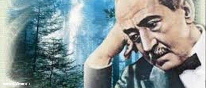 خواطر وأشعار أحمد شوقي الشهيرة