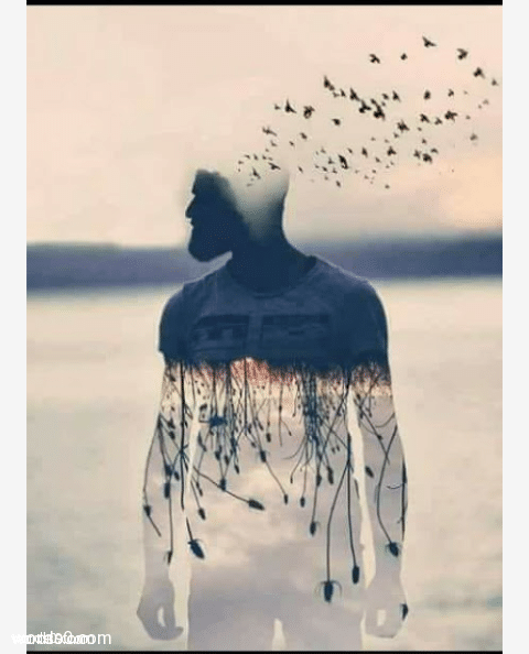 كلمات خاطرة روح أم بذرة