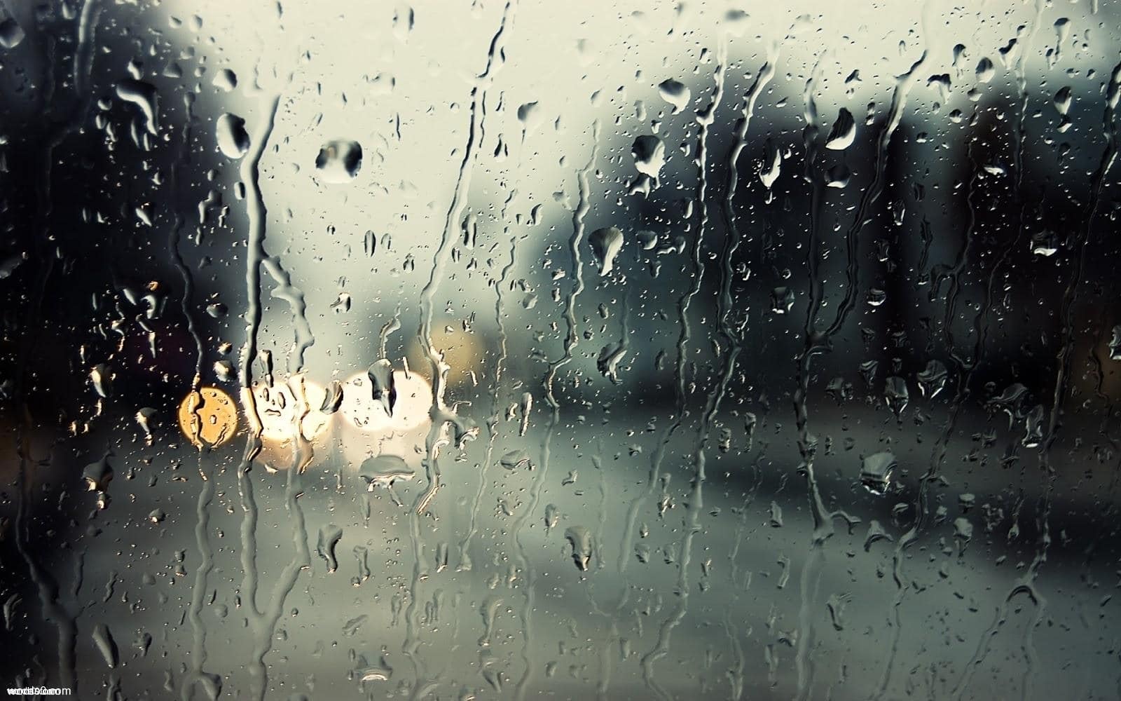 كلمات شعر عن المطر مكتوبة