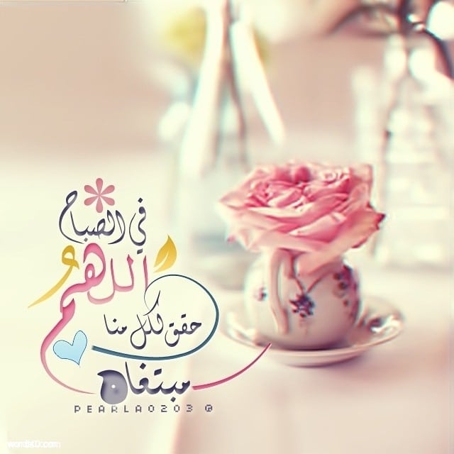 عبارات صباحية