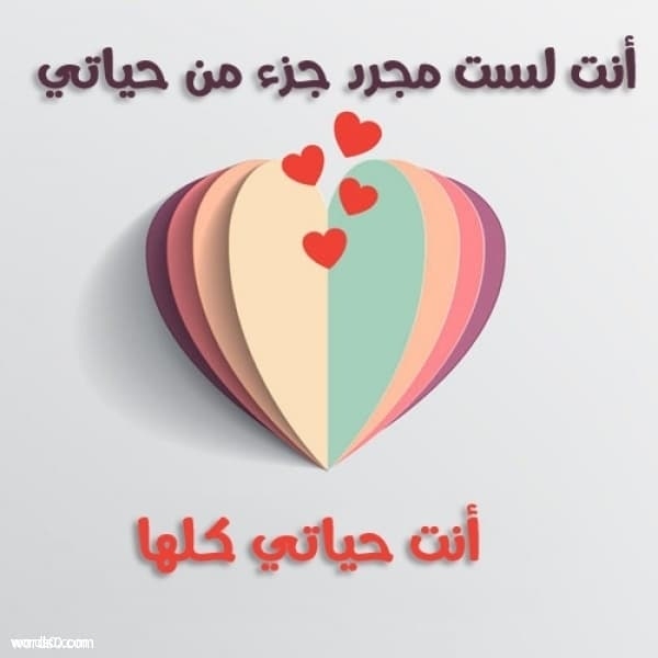 كلام جميل للحبيب