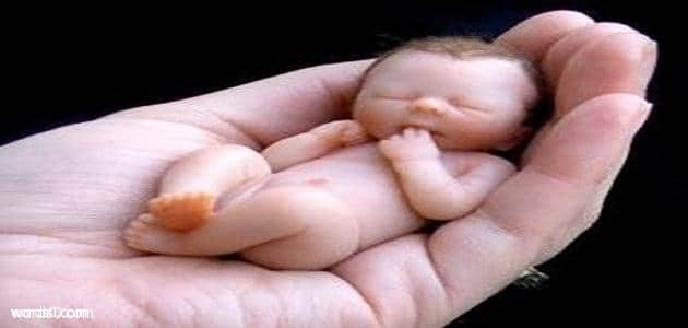 دعاء الرزق بمولود , ادعيه الذرية
