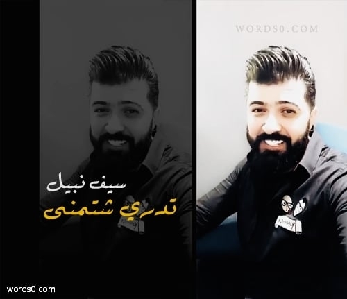 كلمات اغنية تدري شتمنى – سيف نبيل
