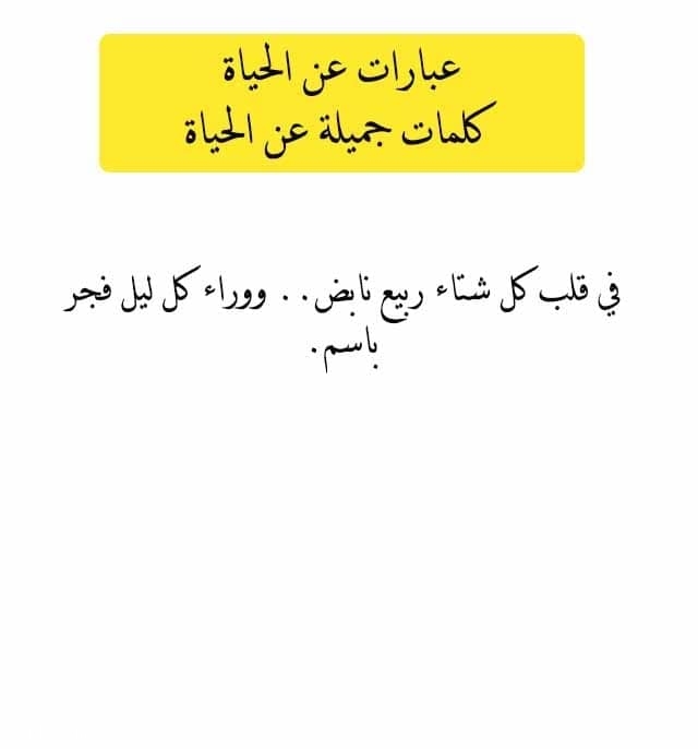 عبارات عن الحياة كلمات جميلة عن الحياة