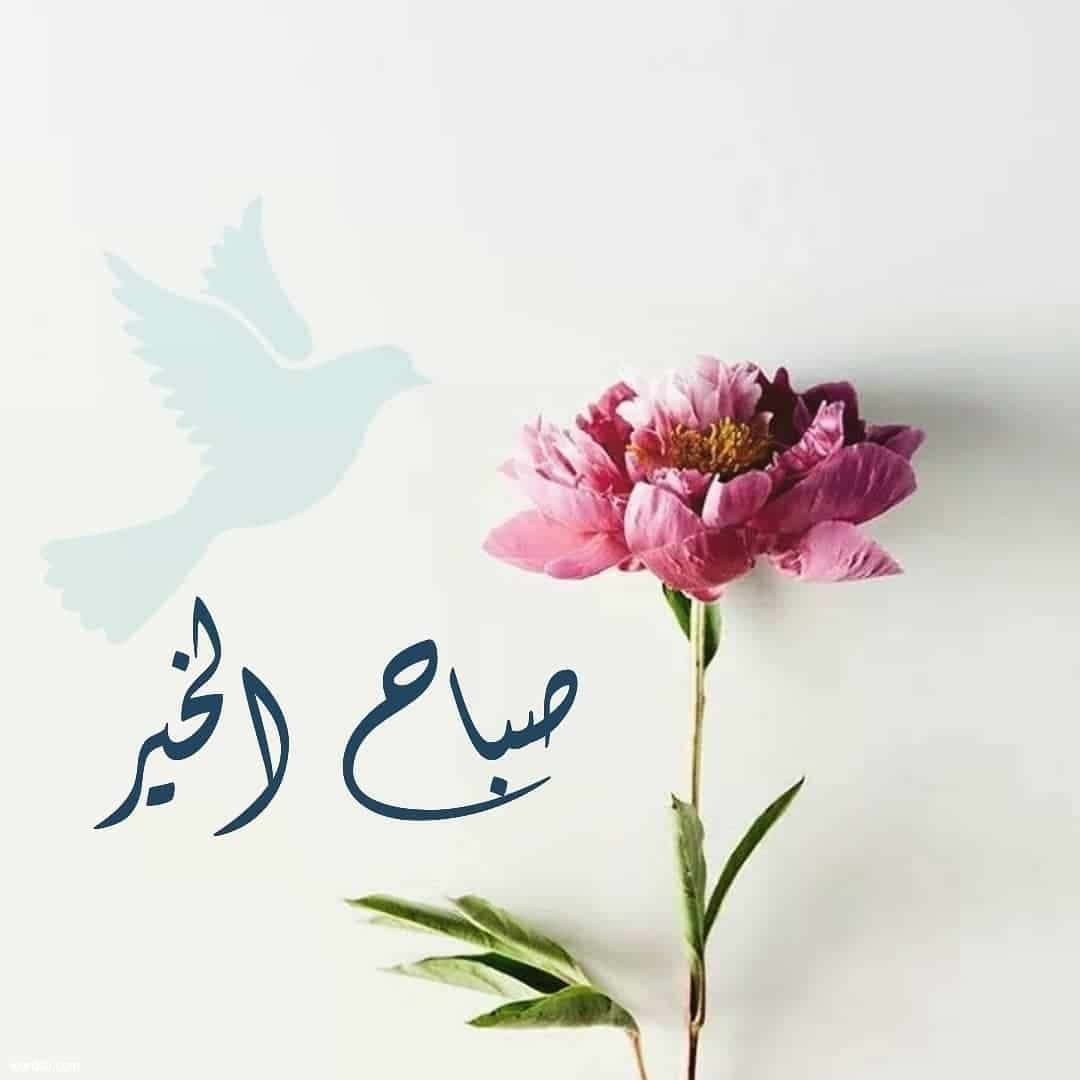 رمزيات صباح الخير , صور مكتوب عليها صباح الخير