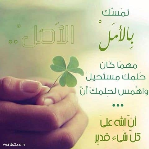عبارات تفاؤل , عبارات عن التفاؤل
