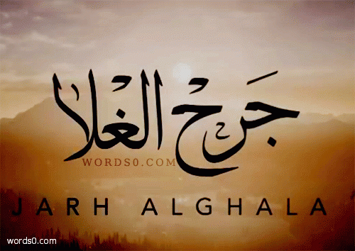 كلمات شيلة جرح الغلا , معدي ال مهري و علي النويجعه
