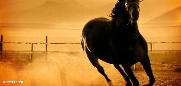الحصان في الحلم , معنى الحصان في الحلم