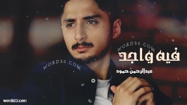 كلمات فيه واجد بس انا اخترتك وابيك – عبدالرحمن حمود