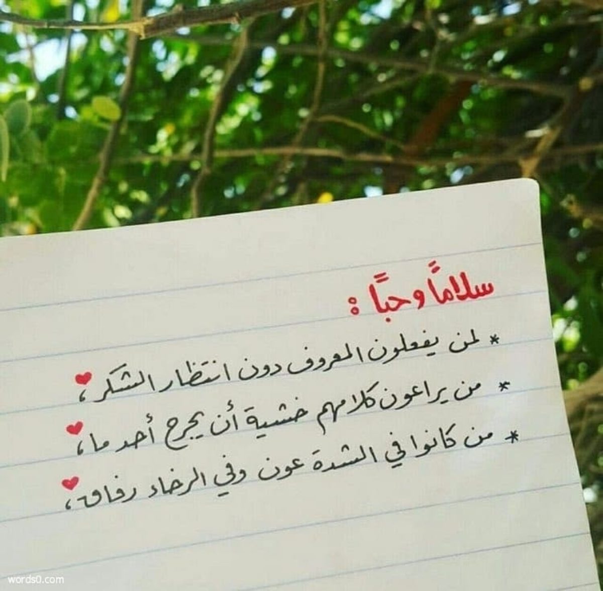 كلمات شكر، كلمات شكر وتقدير، موقع كلمات