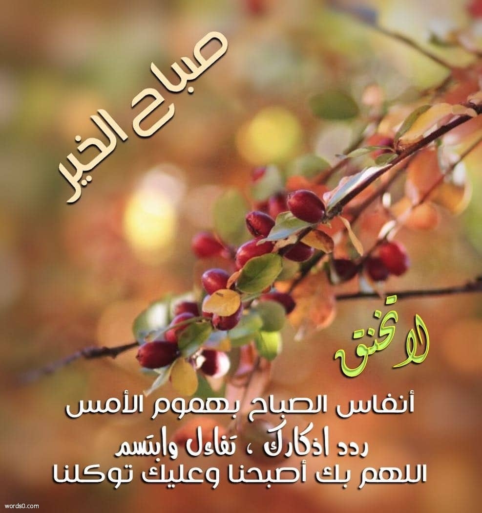 كلام صباحي أجمل العبارات الصباحية