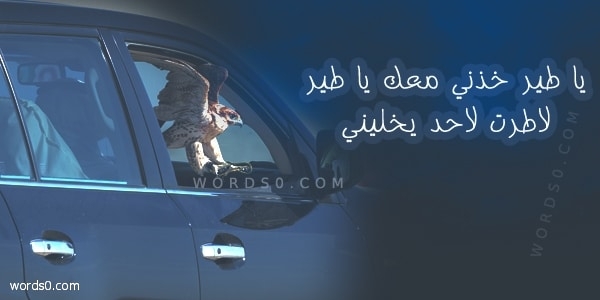 كلمات ياطير خذني معك ياطير