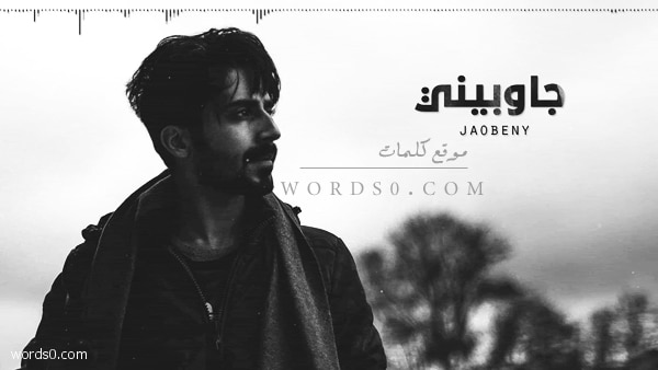 كلمات شيلة جاوبيني عن سؤالي واطلعي – ثامر الرشيدي