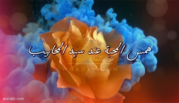 كلمات همس المحبة عند سيد المحابيب – حسين الجسمي