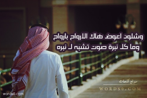كلمات وشلون اعوض هاك الارواح بارواح