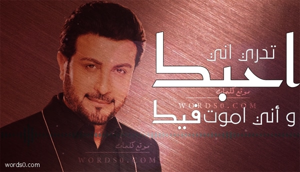 كلمات اغنية غيرك فلا – ماجد المهندس