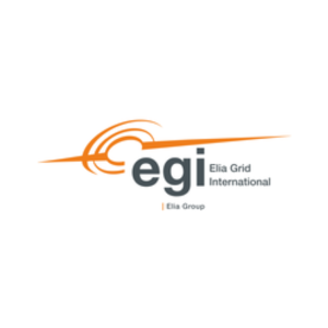 وظائف شاغرة لدى شركة إيليا العالمية | ELIA GRID INTERNATIONAL في الرياض