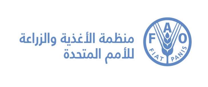 وظائف إدارية شاغرة لدى منظمة الأغذية والزراعة في الرياض