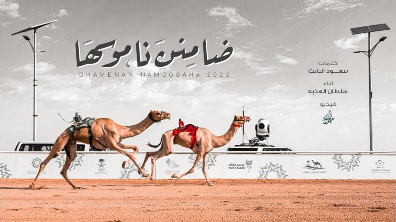 كلمات شيلة ضامنن ناموسها سلطان العذبه