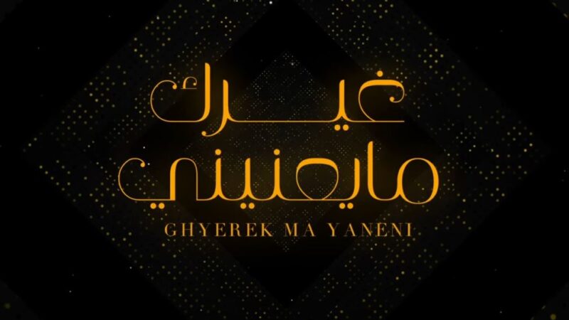كلمات شيلة غيرك مايعنيني غريب ال مخلص